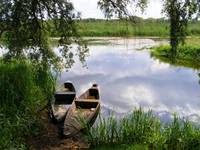 Narew w Bokinach