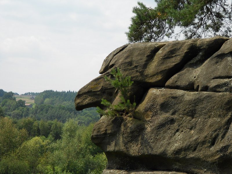 skamieniałe miasteczko