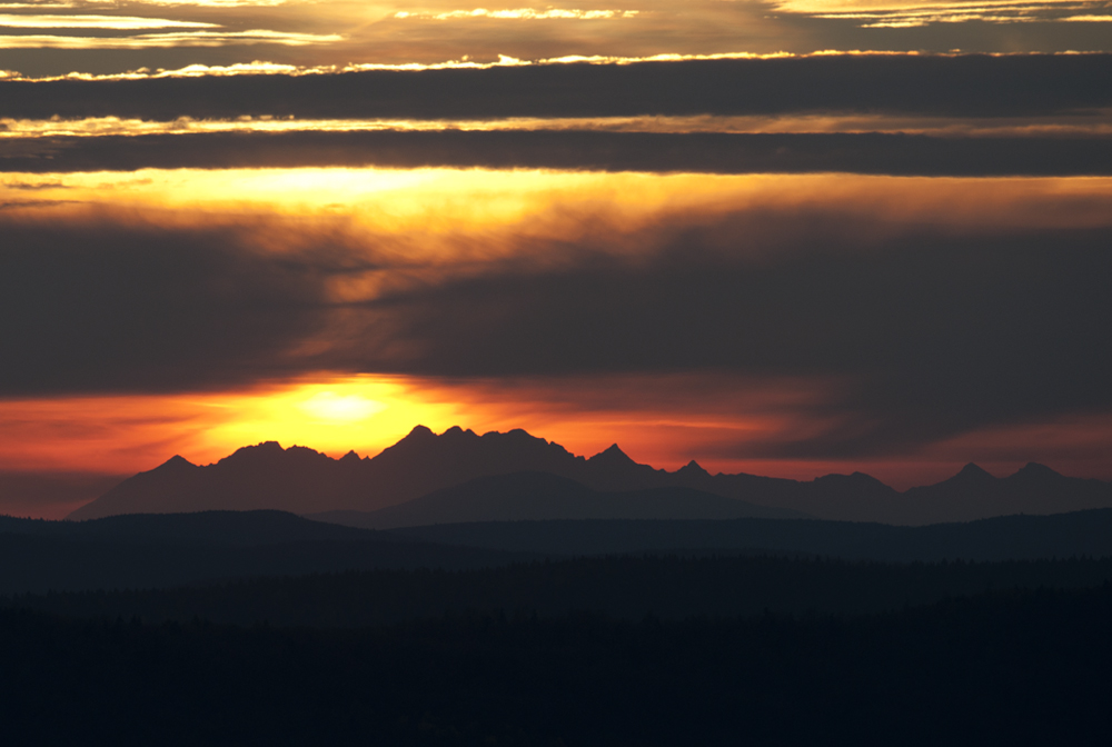 Tatry z Kamionki