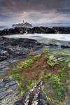 Godrevy Point