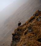 Tatry Zachodnie