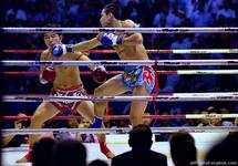 Muay Thai Boxing