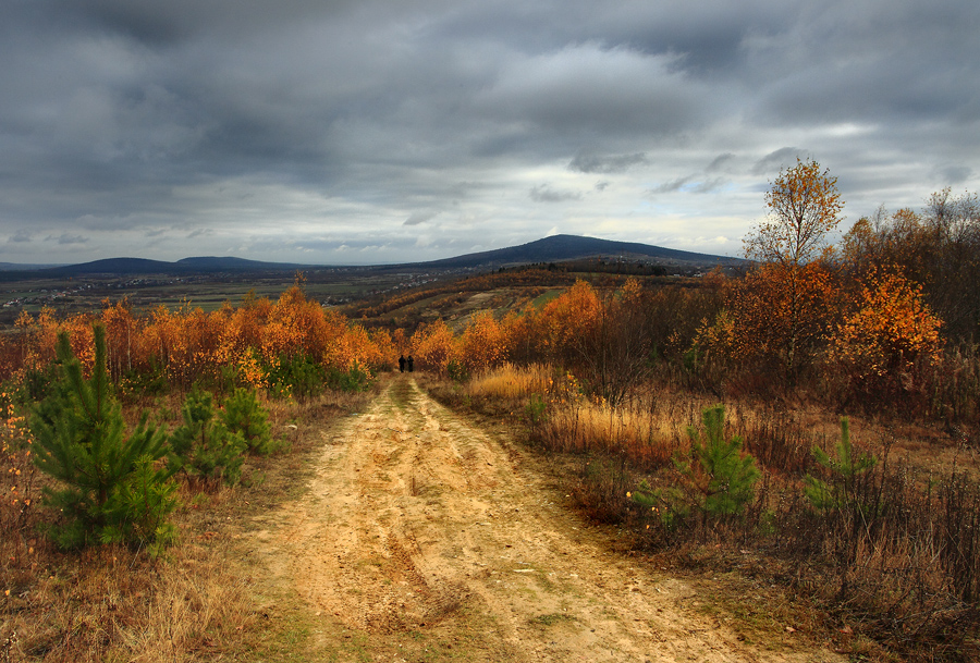 Łysogóry