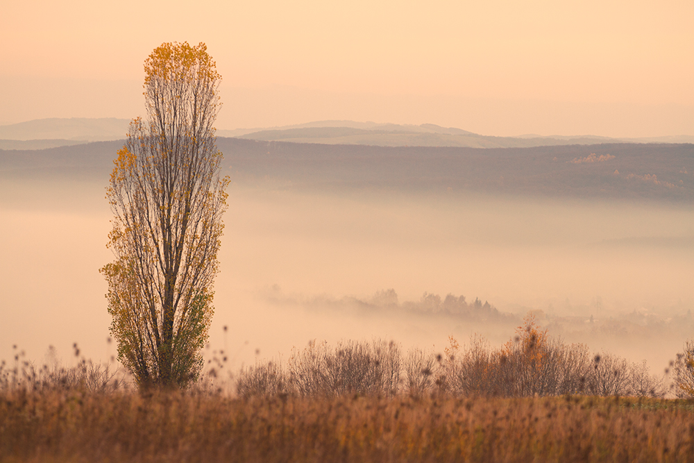 Autumn Evening