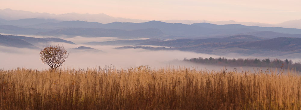 Autumn Inversion