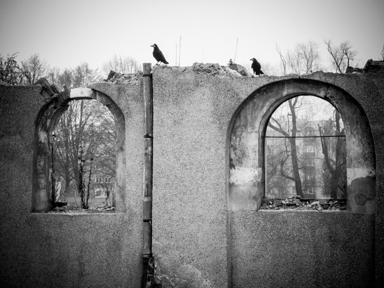 "Places and crows"