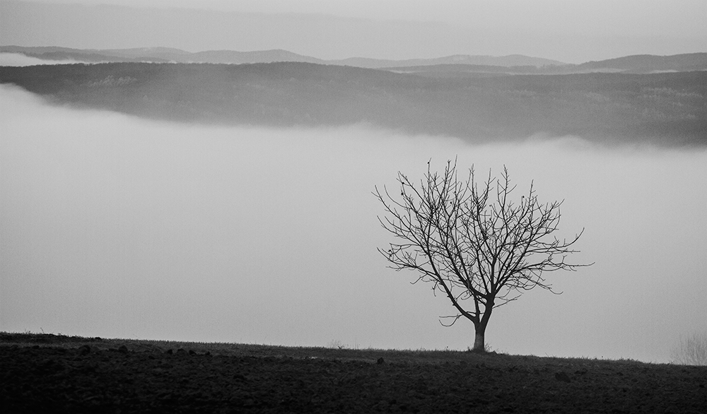 Autumn Inversion