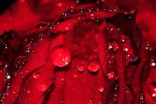 MACRO
