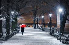 Gorąca tęskonota za śniegiem