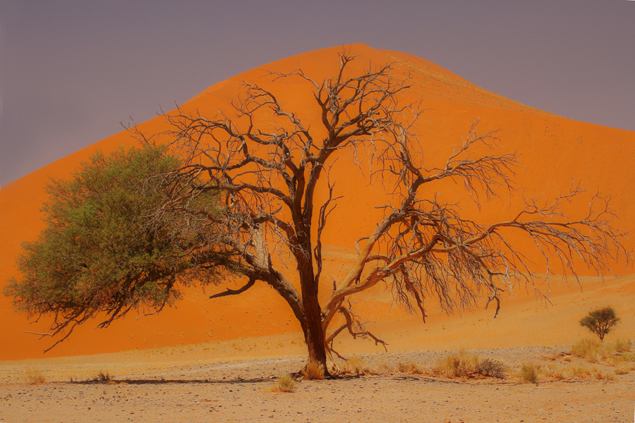 Sossusvlei