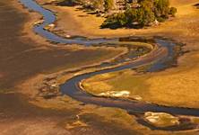 Delta Okavango