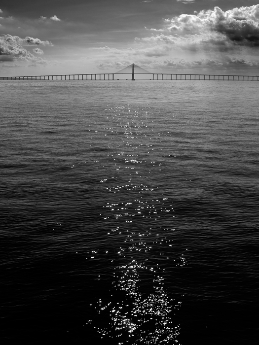 Manaus-Iranduba Bridge