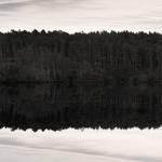 Vartry Reservoir