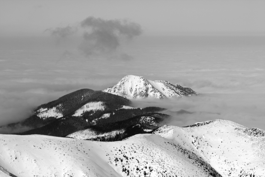 Tatry