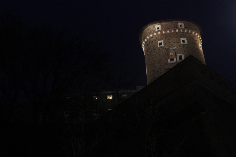Wawel,Krakow I