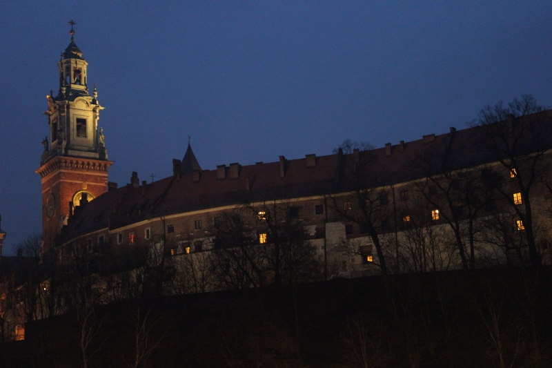 Wawel III
