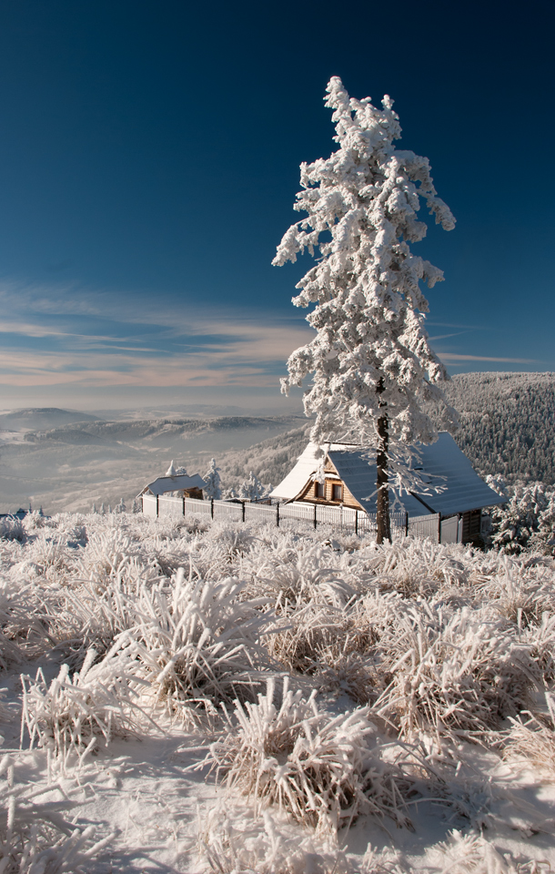 Śnieżna Kraina