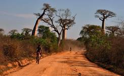 ,,Drogi i bezdroża Madagaskaru "