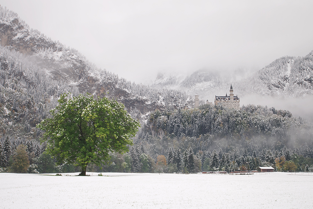 Zamek Neuschwanstein..