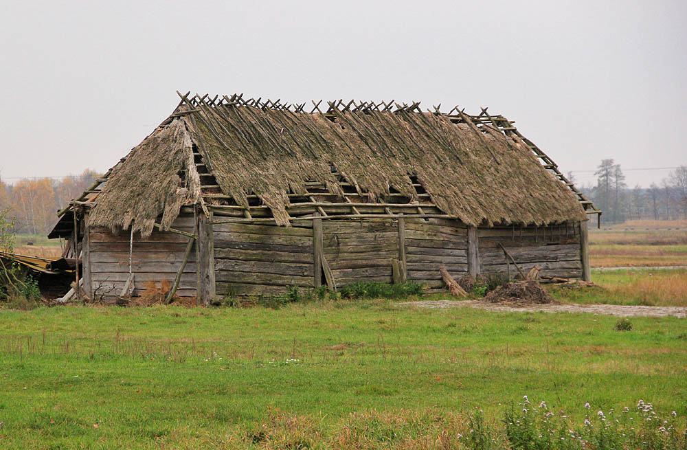 stodoła