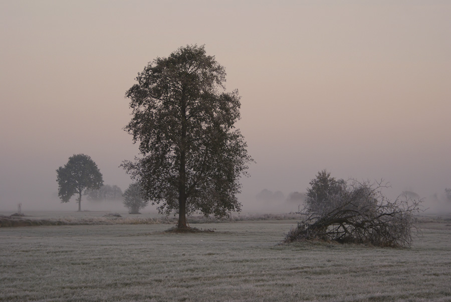 październik