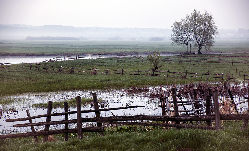 Gdzieś na Podlasiu