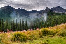 Tatry