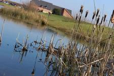 Barton under Needwood, Barton Marina