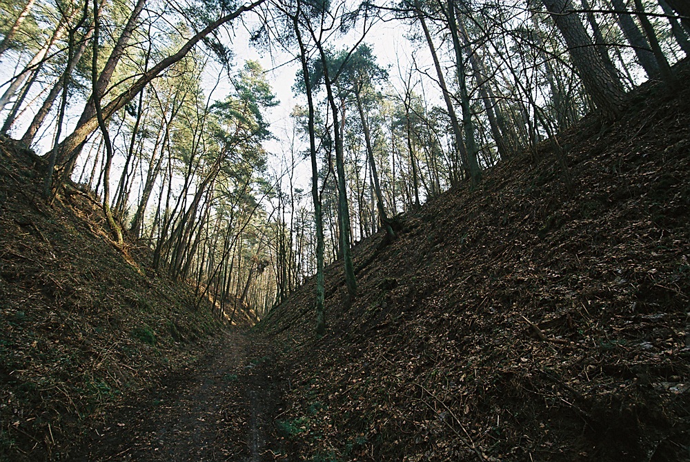 Wąwóz nad jeziorem Mochel , woj.kujawsko pomorskie