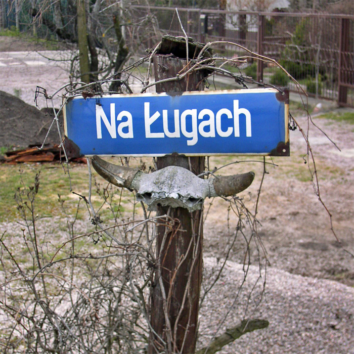 Ul. Na Ługach; Kielce