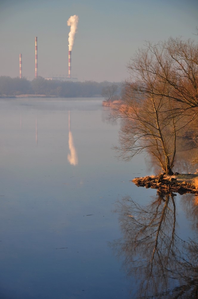 Dolna Odra w Gryfinie