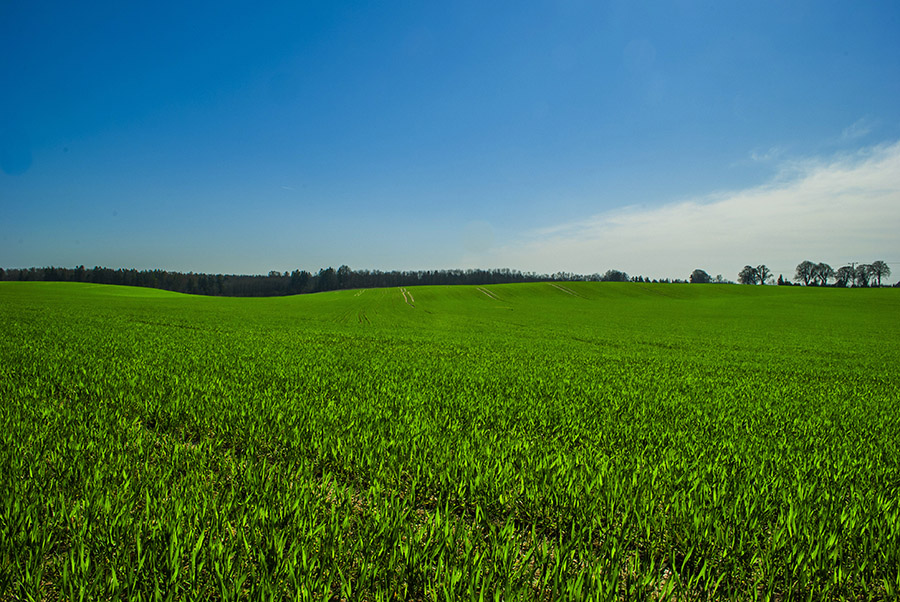 wiosna na Kaszubach