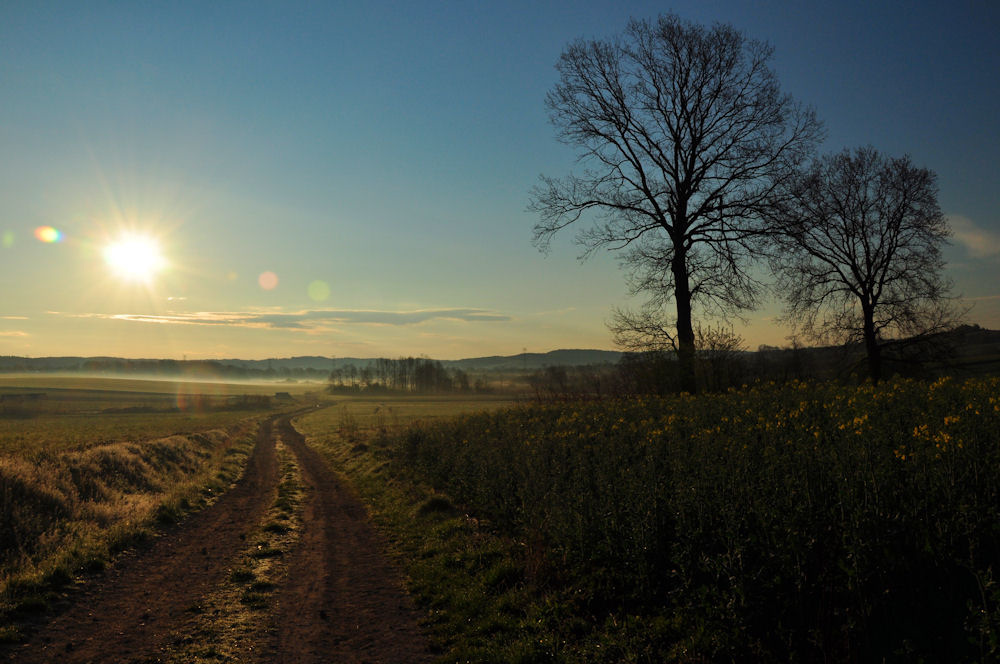 wiosenny świt