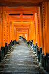 Fushimi-Inari Taisha - Kyoto