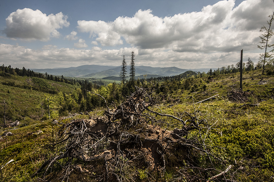 Beskid żywiecki