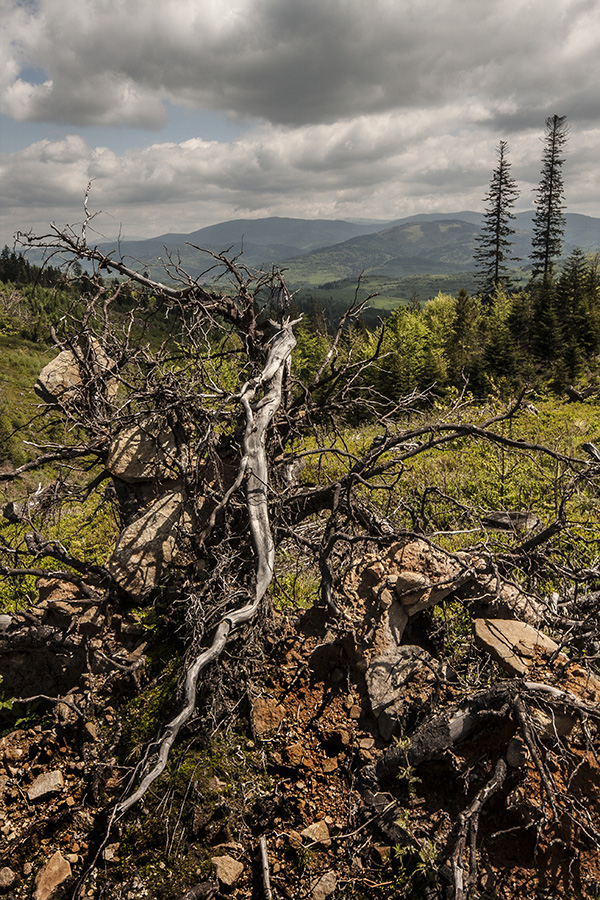 Beskid żywiecki 2