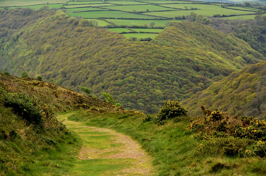 Exmoor