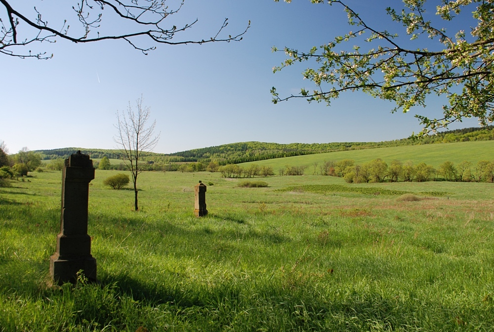 Czeremcha (Beskid Niski)