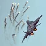 Mig-29 Fulcrum