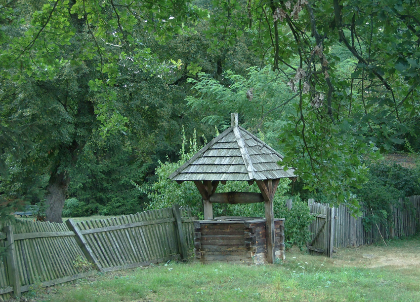 Dołęga park