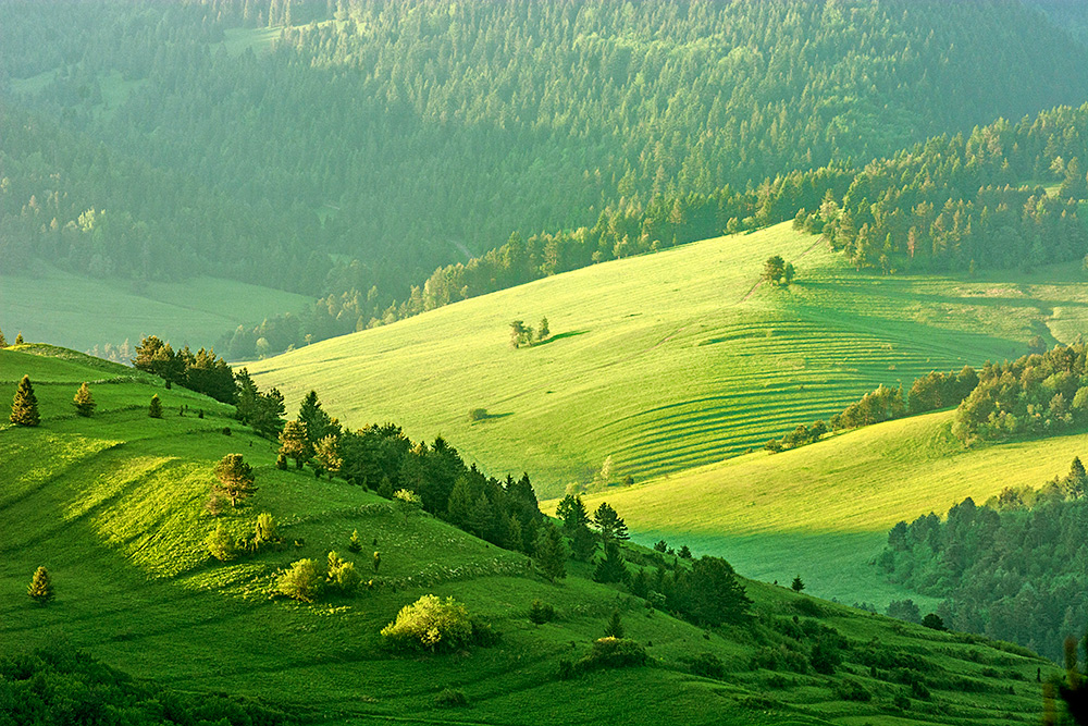 Pieniny