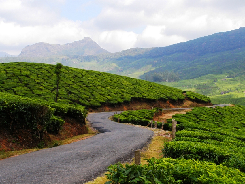 Okolice Munnar