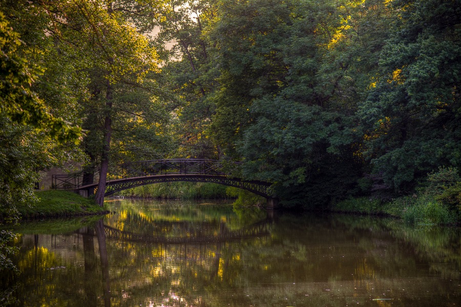 poranek nad stawem cz.2