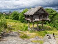 Skansen - Stockholm, Swecja