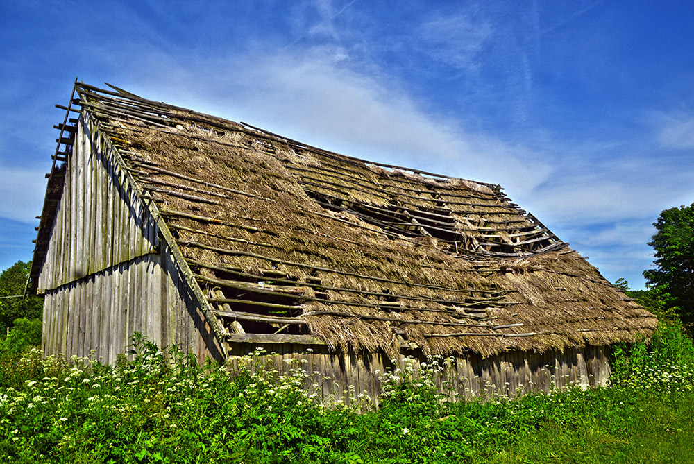 Wodziłki