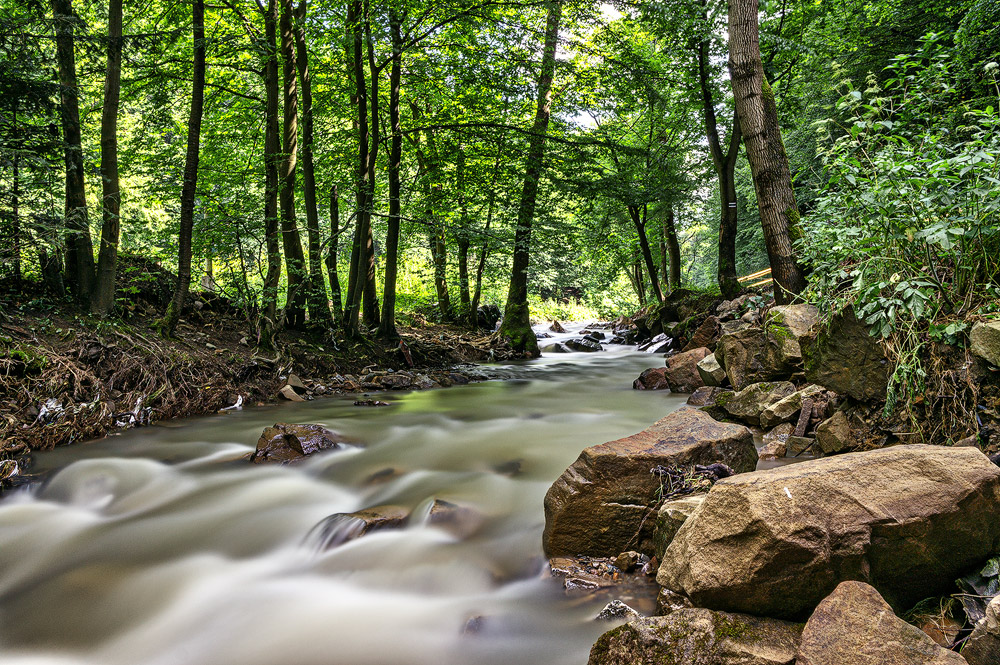 Przy bielańskiej polanie - Beskid Niski