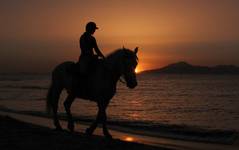 horse riding on plaja