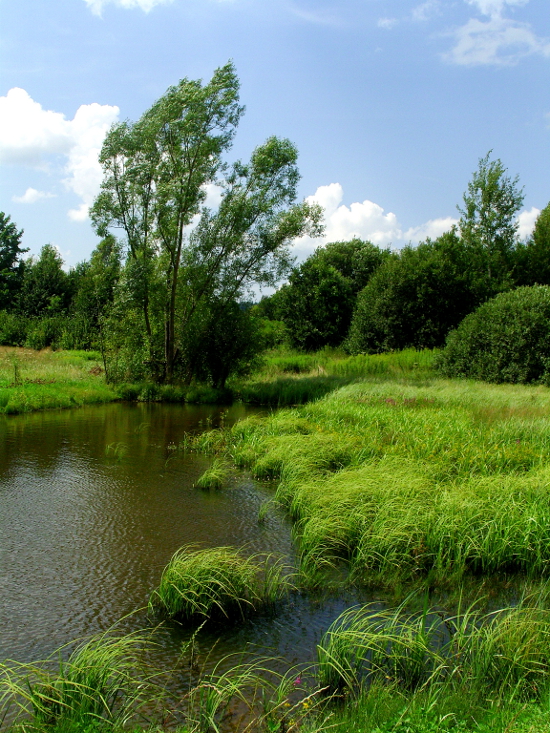 Bączal Górny