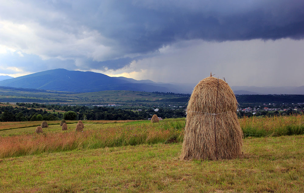 Karpaty. Rejon Dolina