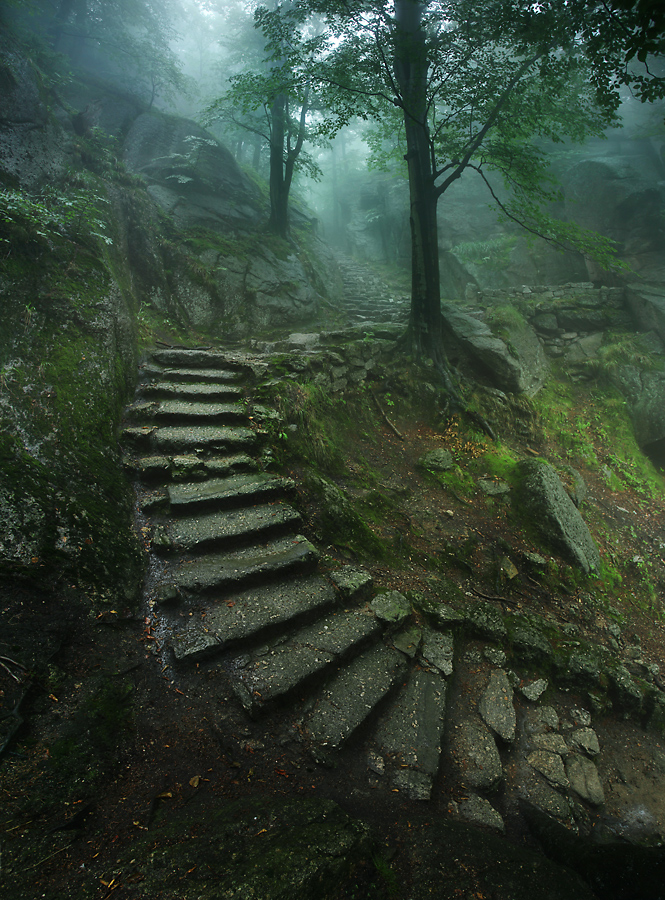 Pogórze Karkonoskie